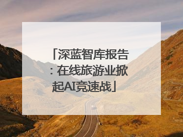 深蓝智库报告：在线旅游业掀起AI竞速战